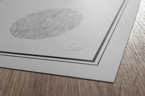 MANCHESTER CITY - ETIHAD STADIUM