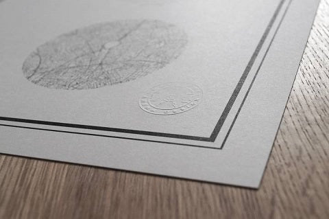 REAL MADRID - SANTIAGO BERNABÉU