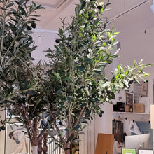 Ladda upp bild till gallerivisning, Konstgjorda olivträd – 200 cm | 2 sortering
