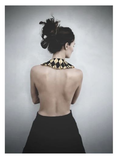 HARLEQUIN poster by Tove Frank