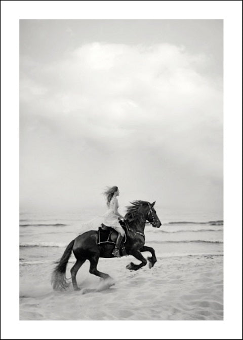 BLACK poster by Tove Frank