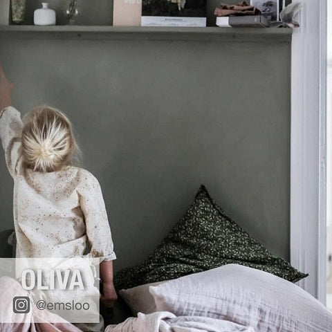 OLIVA 1 kg kalkfärg från Kalklitir